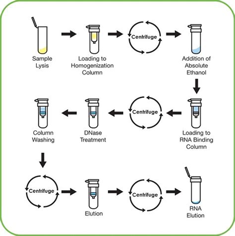 Total RNA Extraction Kits .